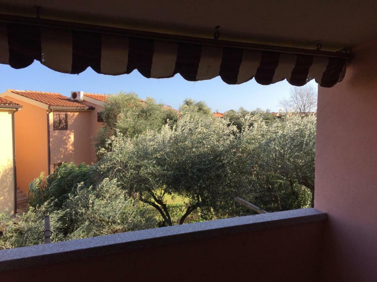 Bilocale Residence Gli Ulivi San Teodoro San Teodoro  Luaran gambar