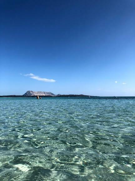 Bilocale Residence Gli Ulivi San Teodoro San Teodoro  Luaran gambar